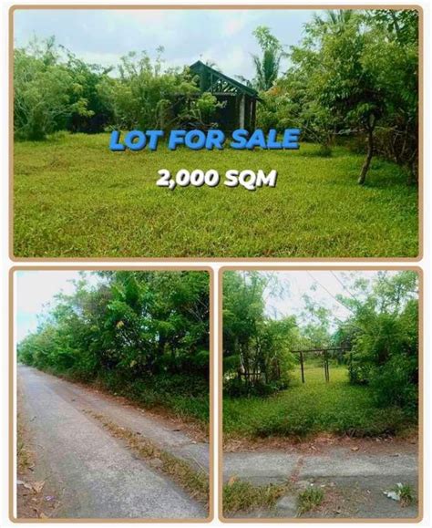 50 lands for sale in Pili, Camarines Sur .